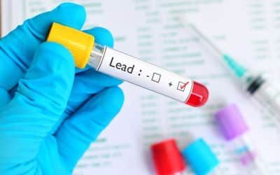 The Need for Universal Lead Testing